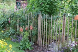 Selbstversorger-Garten - Was ist das? - Selbstversorger.de