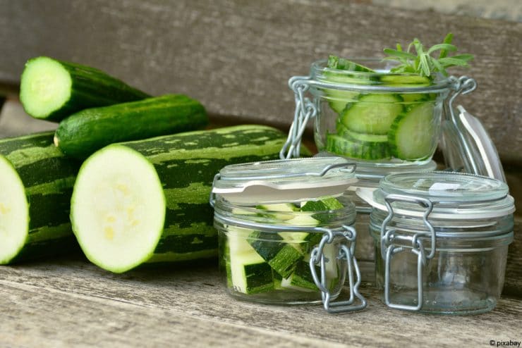 Zucchini Gurke einkochen