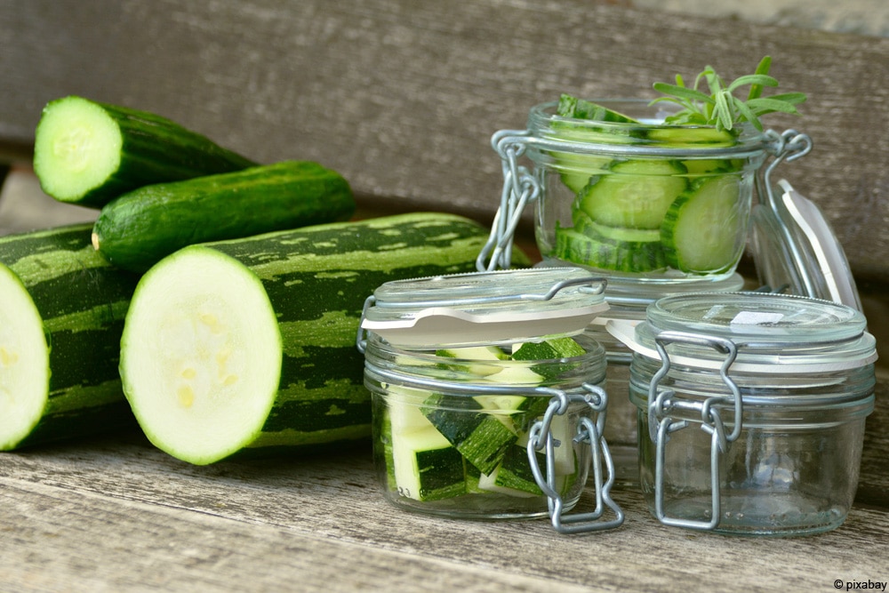 Gurken einmachen – Einkochen von Gewürzgurken/Salatgurken – Rezept ...