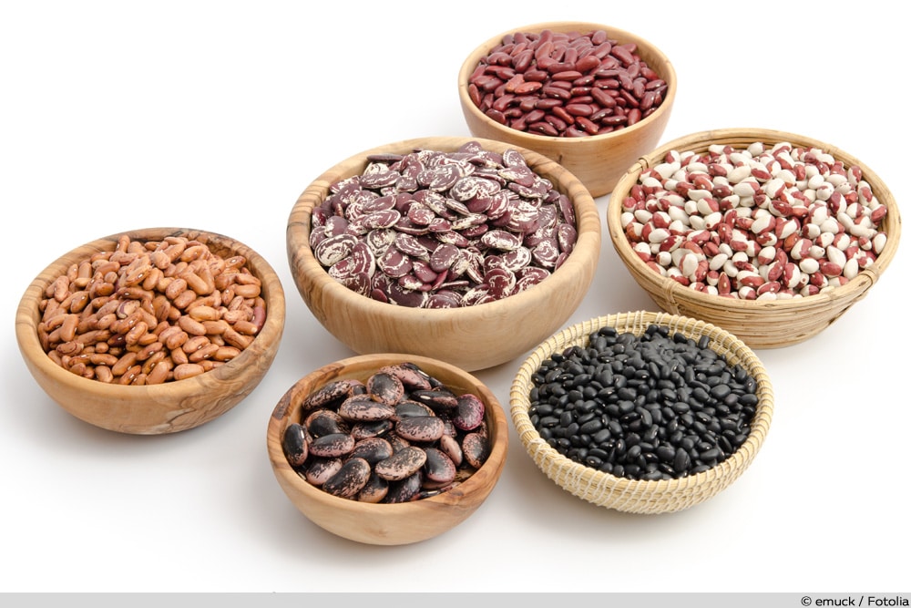 Bohnensorten mit Bild: A Comprehensive Guide to Bean Varieties with Visuals
