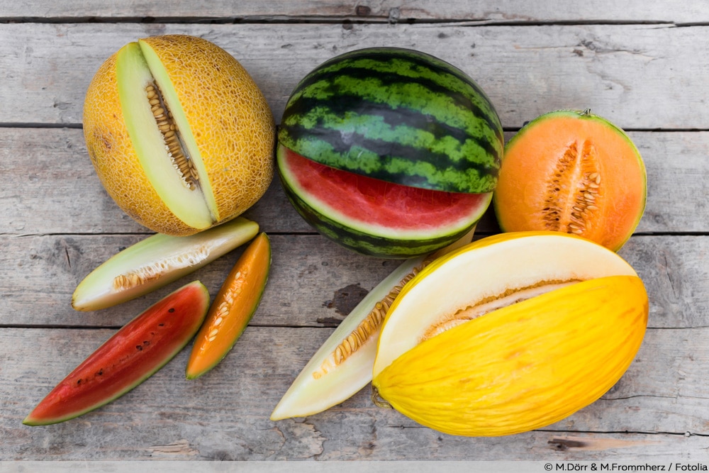Melonenarten mit Bild 40 Melonensorten Auflistung von AZ