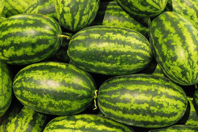 Melonenarten mit Bild 40 Melonensorten Auflistung von AZ