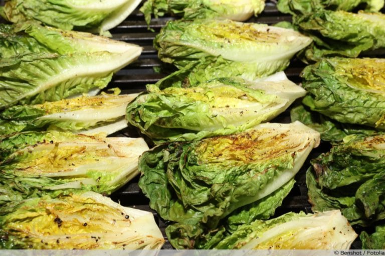 Salatsorten alte und neue Salatarten mit Bild Liste