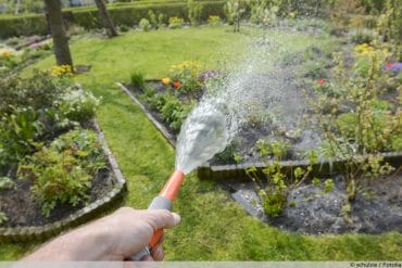 Poolwasser zum Gießen