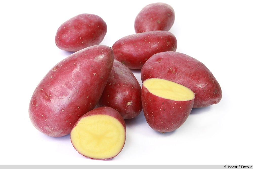 Rote Kartoffeln Cheyenne