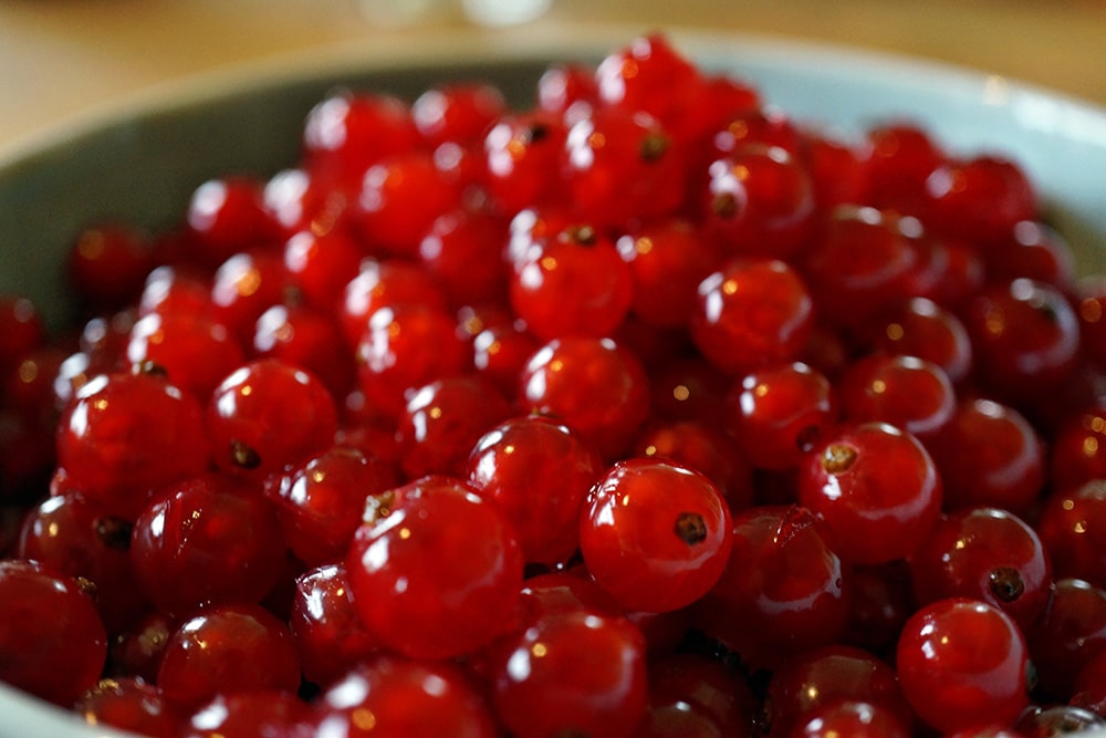 Johanisbeeren in Schüssel