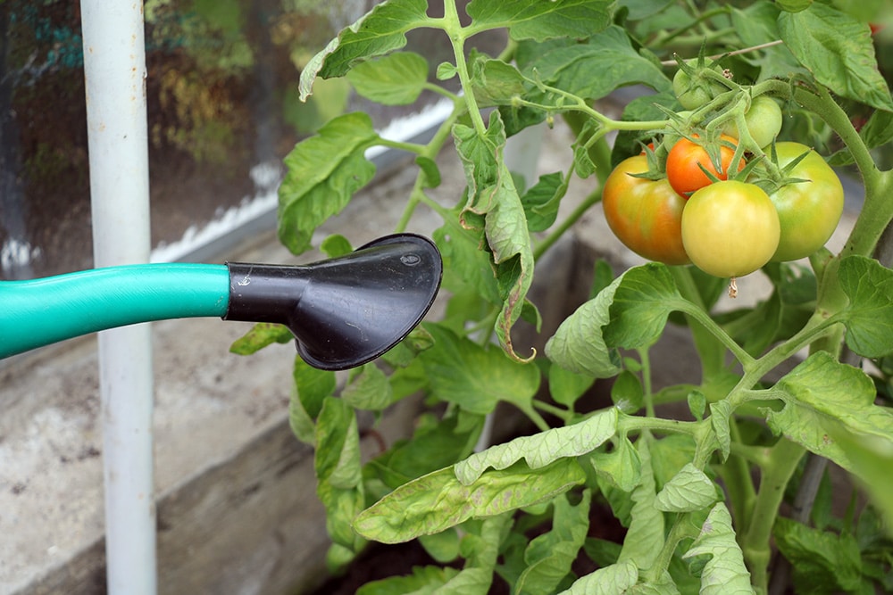 Backhefe – Verwendung im Garten