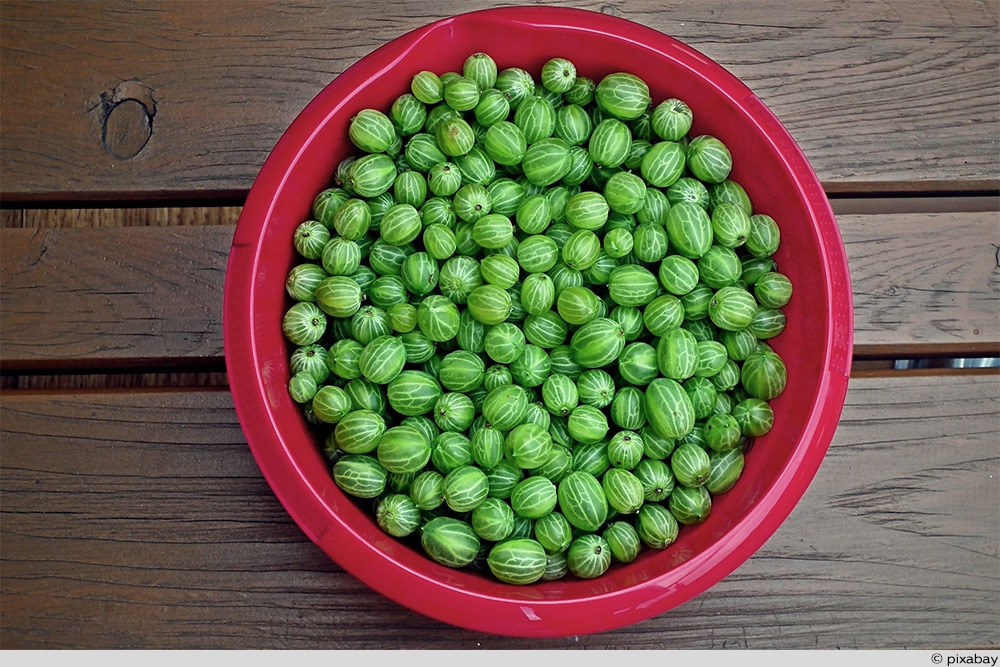 Stachelbeeren in Schüssel