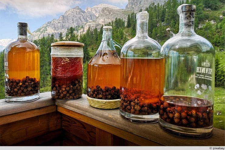 Obstlikör selbst herstellen | Grundrezept und Vorgehen - Selbstversorger.de Obstlikör selbst herstellen | Grundrezept und Vorgehen - Selbstversorger.de