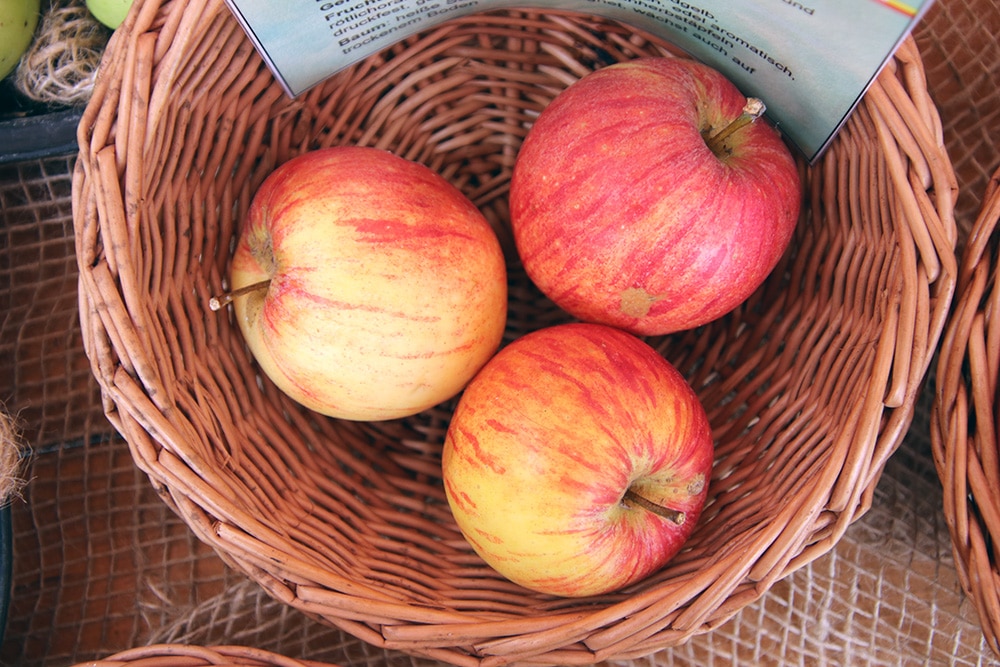 Apfel 'Alkmene' | Beschreibung, Geschmack & Erntezeit