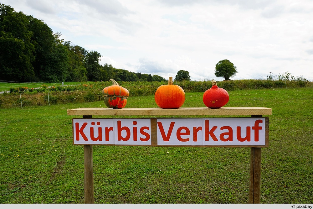 Kürbis Verkauf