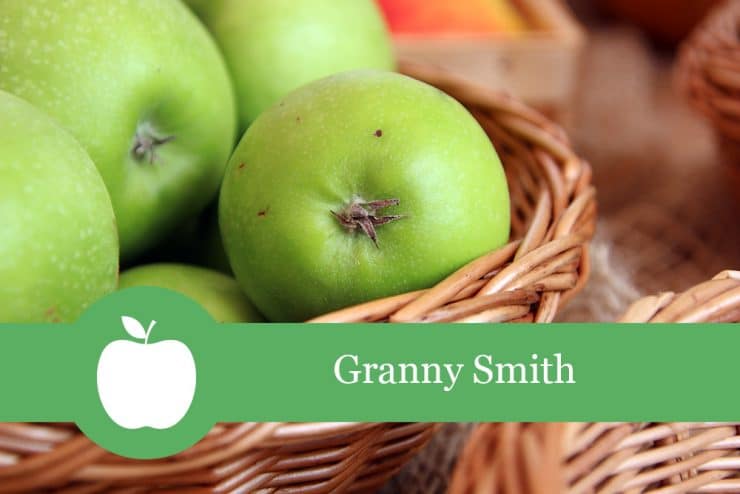 Apfel \'Granny Smith\' | Erntezeit, Lagerung & Geschmack