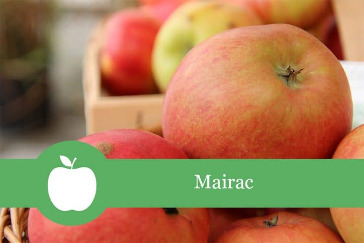 Mairac