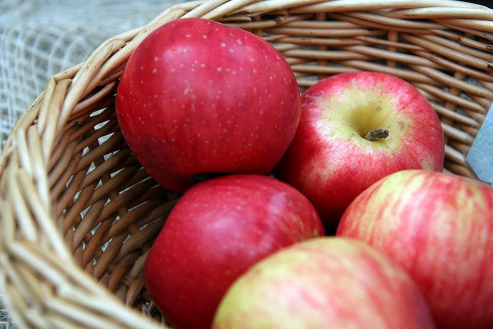 Maunzenapfel