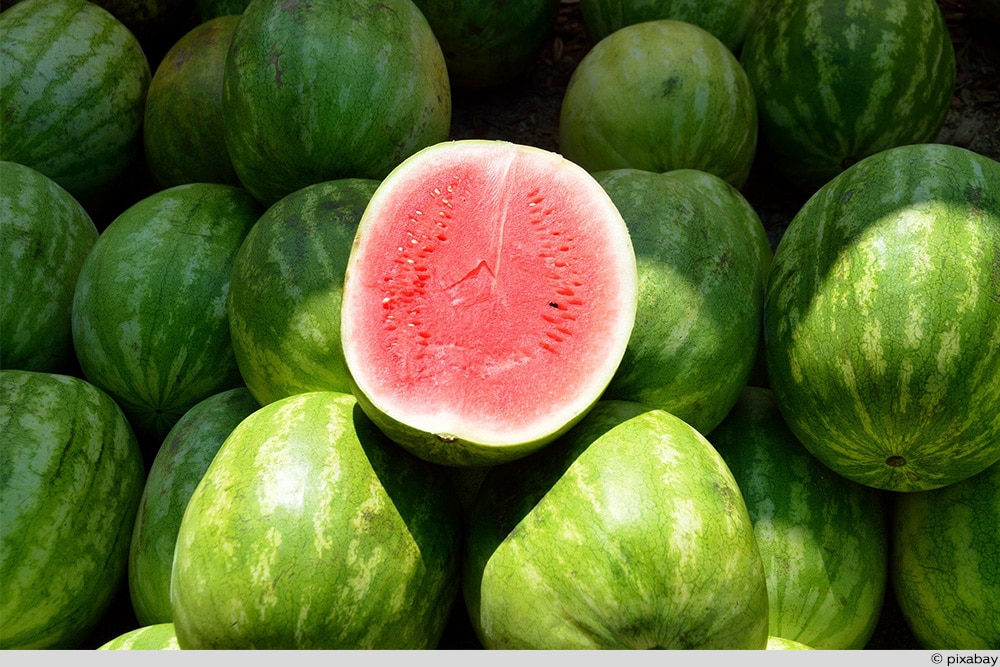 Wassermelone