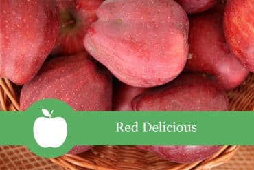 Red Delicious