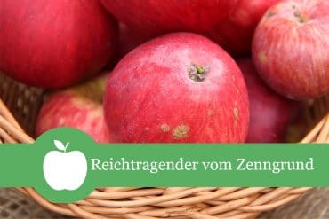 Reichtragender vom Zenngrund