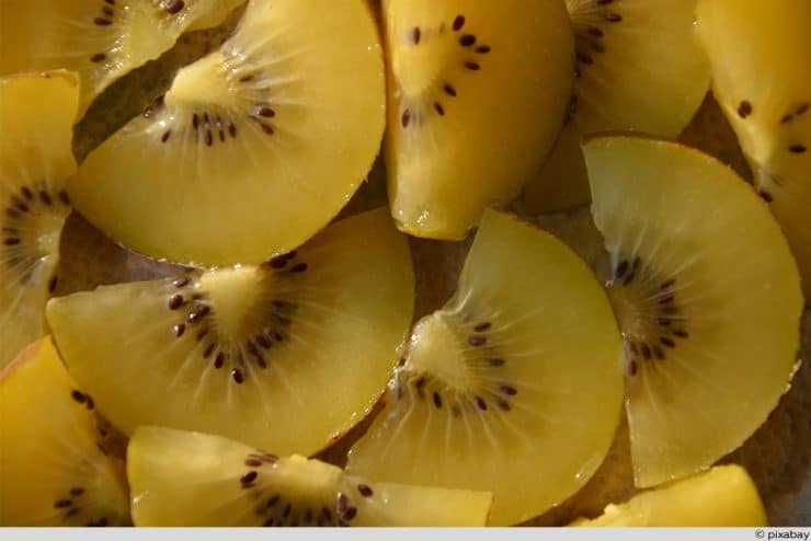 Kiwis ernten Zeitpunkt und Lagerung