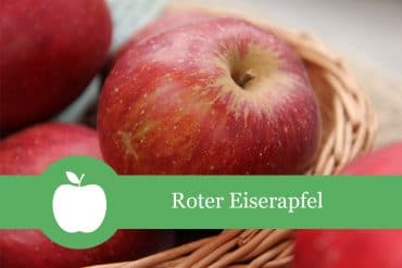 Roter Eiserapfel