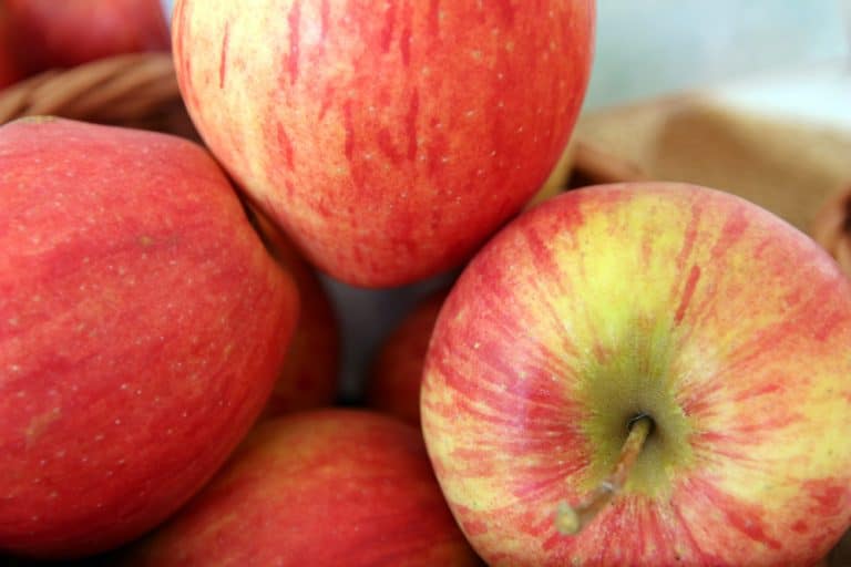 Apfel Evelina Herkunft Geschmack Co Selbstversorger de apfel-evelina-herkunft-geschmack-co-selbstversorger-de