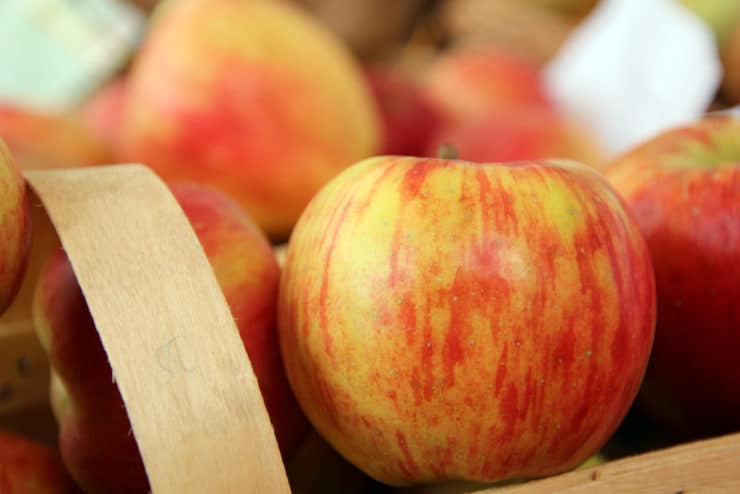 Topaz Apfel Wann Ernten Apfelernte 2020: wann sind Äpfel in Deutschland reif? - Selbstversorger.de